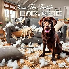 Ivan the Terrible Audiolibro Por Benjamin Stetser arte de portada