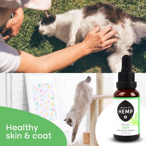 Made By Hemp - Hemp Oil For Cats And Dogs - Made In The Usa - Holistic Relief For Stress, Pain, Inflammation - Hip And Joint Health - Sleep Aid - Cat Calming - Hemp Oil Drops For All Animals - 2 Pack #TOP6