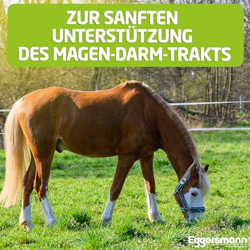 Eggersmann Mein Pferdefutter E-Vet mucOstat 3 kg - Ergänzungsfutter für Pferde - Ideal bei Verdauungsstörungen, Magen- & Darmproblemen - Pferdefutter mit prebiotischem Topinamburkonzentrat