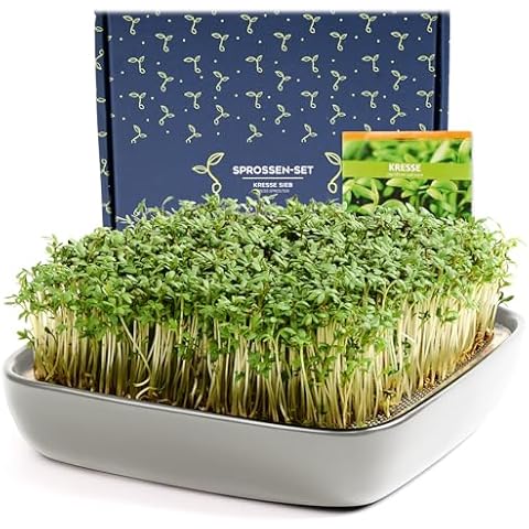 Otaro Premium Cress Propagation Set with Seeds Cover