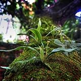 Wqvjewj Daily Literary & Kindle Guide