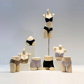 Amazon.co.jp: 女性モデルトルソー下着ディスプレイスタンド