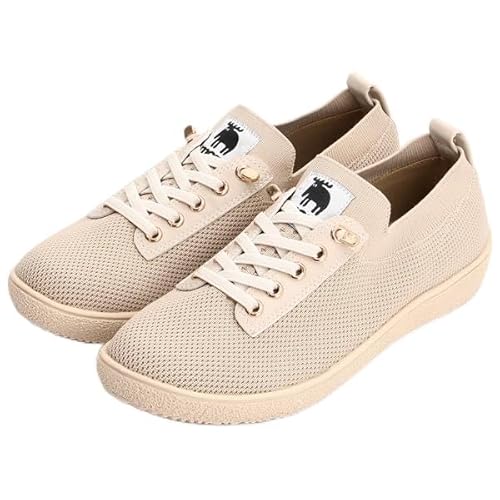 [Y] 25H~ yʃbVjbg SV[[X Xb| x[W 24.5