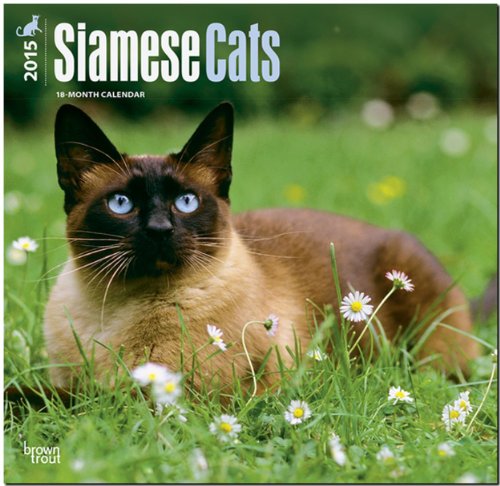 Siamese Cats 2015 Calendar
