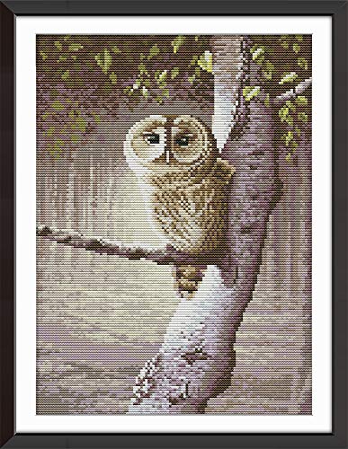 Cross Stitch Kits, Owl Animals Awesocrafts Easy Patterns Cross Stitching Embroidery Kit Supplies Christmas Gifts, Stamped or Counted (Owl, Counted)