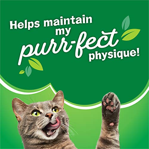 Friskies 050000575787 Purina Friskies Dry Cat Food thumb #10
