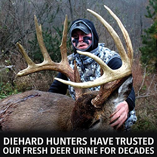 Outdoor Hunting Lab Calming Scent Doe Urine (2 Bottle) - Buck Lure For Whitetail Deer Hunting - Doe Pee For Hunting, Mock Scrapes, Scent Drags & Drippers – Must-Have Deer Hunting Accessories #TOP3