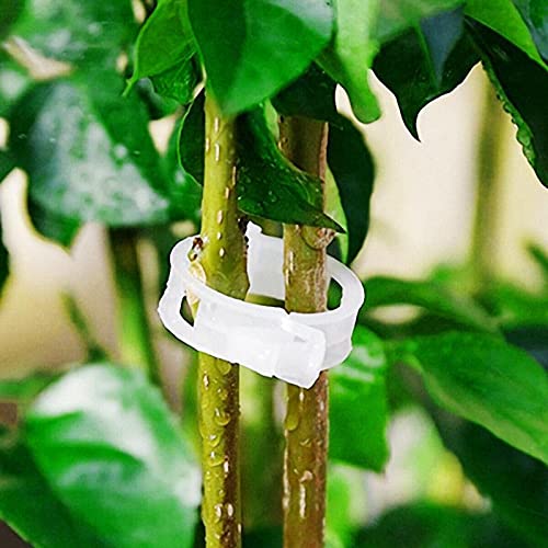 Ubersweet® 100 Pieces Garden Plant Support Clips Tomato Trellis Twine Greenhouse