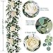 TOPHOUSE Flower Garland 6 Ft Artificial Rose Vine Fake Hanging Eucalyptus Garland with Champagne Rose for Wedding Arch Arrangement Room Party Farmhouse Decor