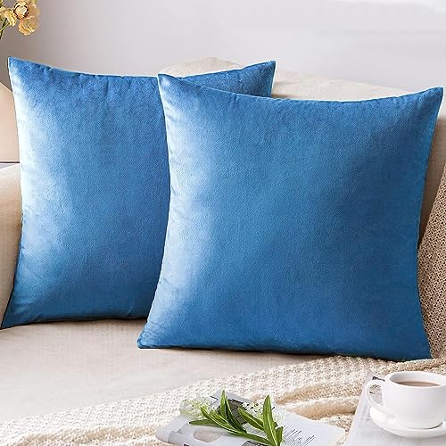 AUSSPVOCT Set of 2 Velvet Throw Pillow Covers 18x18 Inches Soft Decorative Couch Pillow Covers Square Cushion Covers for Couch Sofa Bedroom Car Office Chair, 45x45 CM