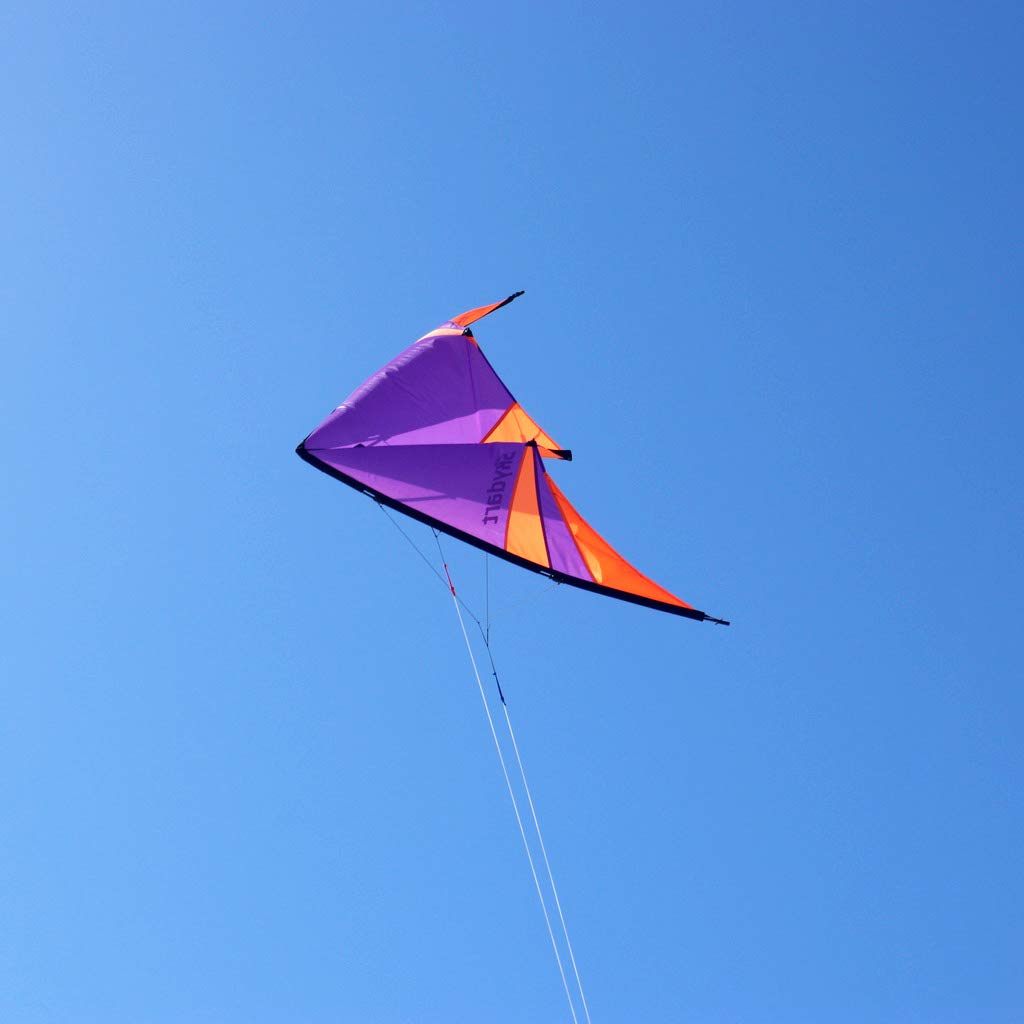 Turmer Skydart Violet
