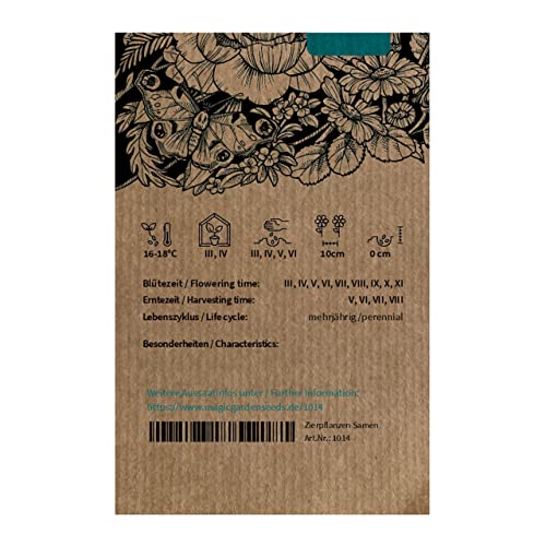 Gänseblümchen (Bellis perennis) Maßliebchen Tausendschön Margritli 1000 Samen