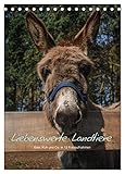 QUALITÄT - Hochwertiger Fotokalender mit 12 wunderschönen Motiven auf lichtbeständigem Bilderdruckpapier, robuste Spiralbindung.