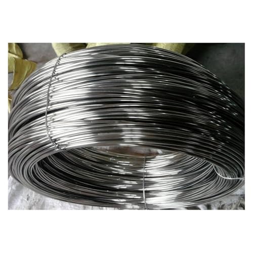 Alambre de resorte acero inoxidable 304 0.2 a 1mm 2 piezas de cada tamaño elasticidad individual miniatura 5