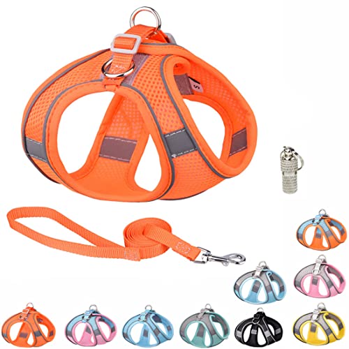 Cute Puppy Dog Harness And Leash Set, With Anti-Loss Pendant, Reflective No Pull Cat Vest, Soft Breathable Thin Mesh Pet Halter For Xxs Xs Small Medium Breed Dogs Female Male, Orange Xsmall #TOP19