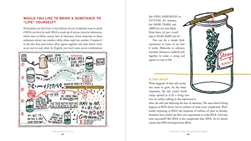 The Mystery of Life: How Nothing Became Everything - Image 6