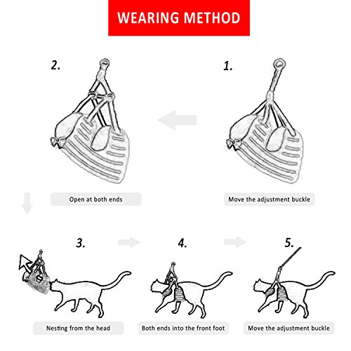 RYPET Small Dog Harness and Leash Set - Dog Harness No Pull Pet Harness with Soft Mesh Nylon Vest for Small Dogs and Cats Pink S - Thumbnail 5