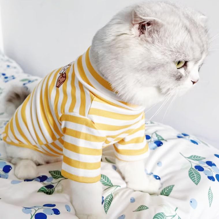 Pack of 2 Cute Dog Embroidery Coat Turtleneck Stretchy Sweater Super Soft Cold Weather Coat for Cats & Dogs (Medium, Blue+Yellow)