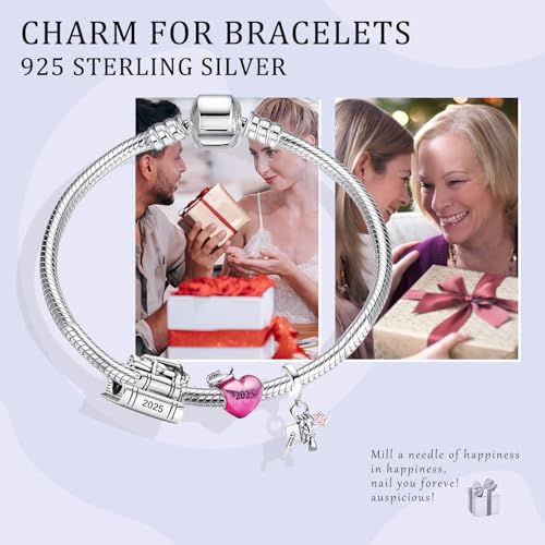 2025 Graduation 925 Sterling Silver Charms Dangles for Bracelets and Necklace Jewelry Gift for Women Girls Family and Friends4
