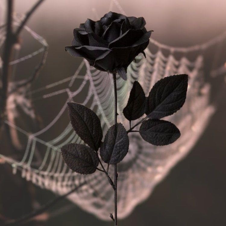 Laelfe 12 Pcs Black Roses Artificial Flowers Halloween - Image 2