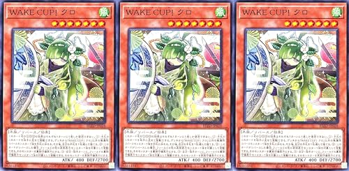 �y3���Z�b�g�z BLZD-JP028 WAKE CUP! �N�� �m�[�}�����A �m�[���A NR �u���C�W���O�E�h�~�j�I�� BLAZING DOMINION �E�F�C�J�b�v
