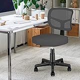 Armless Task Office Chair,MOLENTS Small Desk Chair with Mesh Lumbar Support,Ergonomic Computer Chair...