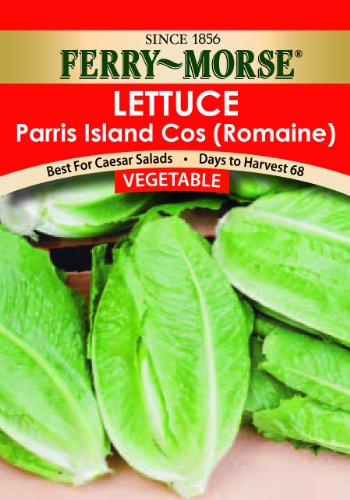 Ferry-Morse 1307 Lettuce Seeds, Parris Island Cos Romaine, 1 Gram Packet