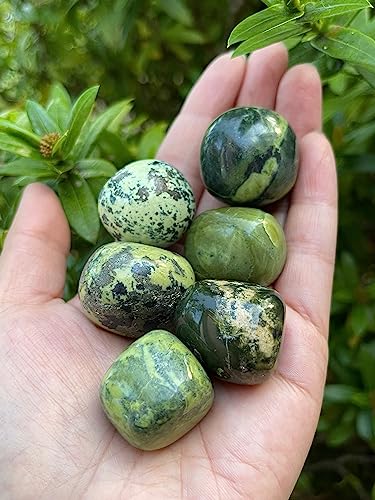 Image of GAF TREASURES 1 /2 LB Serpentine Tumbled Stones, Polished Serpentine Gemstone, Serpentine Healing Crystals (Serpentine)