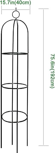 Miniatura 8 de Soporte para plantas y flores trepadoras de jardín