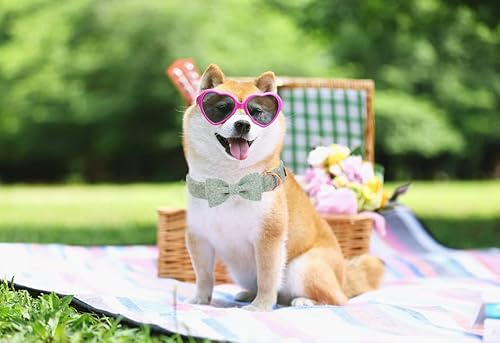 Aring Pet Bowtie Dog Collar-Cotton Green Dog Collar With Bow, Comfortable Dog Collars Gifts With Metal Buckle For Small Medium Large Boy And Girl Dogs #TOP4