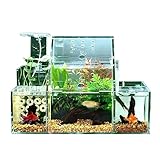 2. L'aquarium est en acrylique, ce qui offre une garantie d'étanchéité, contrairement aux réservoirs en verre collés avec du silicone, ce réservoir monobloc permet aux gens de ne plus s'inquiéter des fuites possibles.