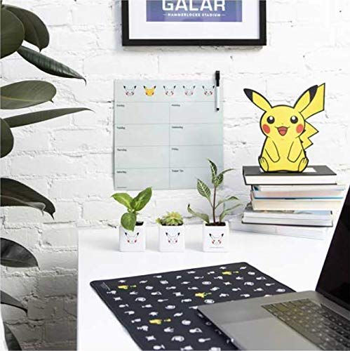 Amazon.co.jp: 海外ポケモンセンターポケモンカード ラージプレイ