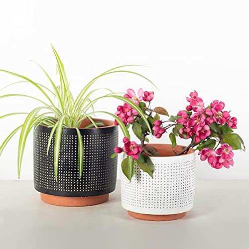 212 Main Black with Dots & White with Dots Planters - Set of 2