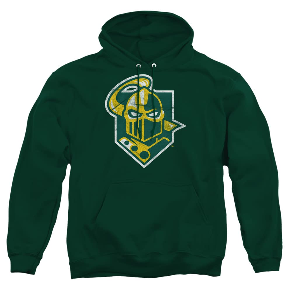 LOGOVISION Official Collegiate Distressed Primary Logo Adult Pullover Hoodie Collection — view 121