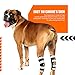 NeoAlly - 3-in-1 Long Rear Leg Hock Brace, Dog Leg Brace for Rear Leg with Rigid & Spring Inserts, Hock and Ankle Support, Dog Leg Sleeve with Reflective Straps, Small, 1 Pair