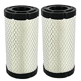 Gewxgzo M113621 Air Filter Replace for W-IX 46449 Mule 11013-1290 Fleet-guard AF25550 Bald-win