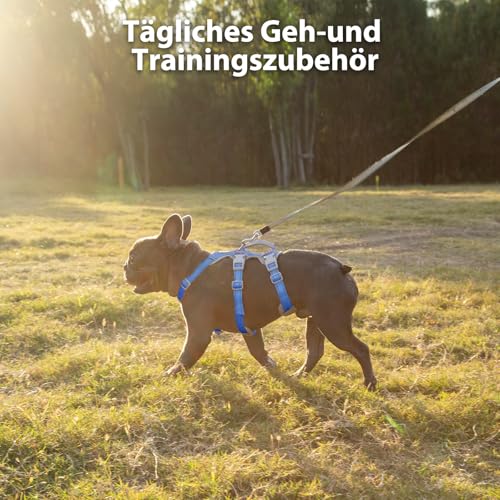 Huntboo Sicherheitsgeschirr Hund Ausbruchsicher, Panikgeschirr für Hunde, Reflektierendes Geschirr mit Gepolstertem Griff, Verstellbare Weste für Kleine Hunde, die Spazieren Gehen (Meeresblau,S)