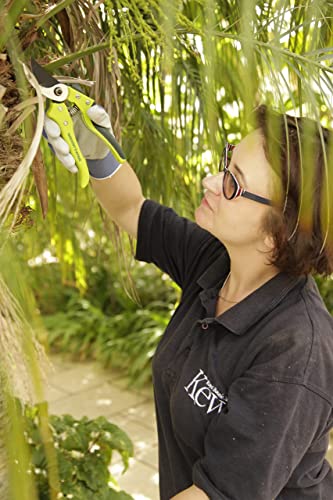 Spear & Jackson 7159KEW Kew Gardens Collection Razorsharp Bypass Secateurs - 4