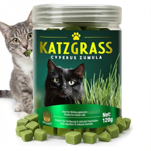 Onzzyl Cat Grass Treats for Indoor Cats Digestive Health Support with Wheat Grass Hairball Control Chews Natural Grain-Free Snack for Kittens