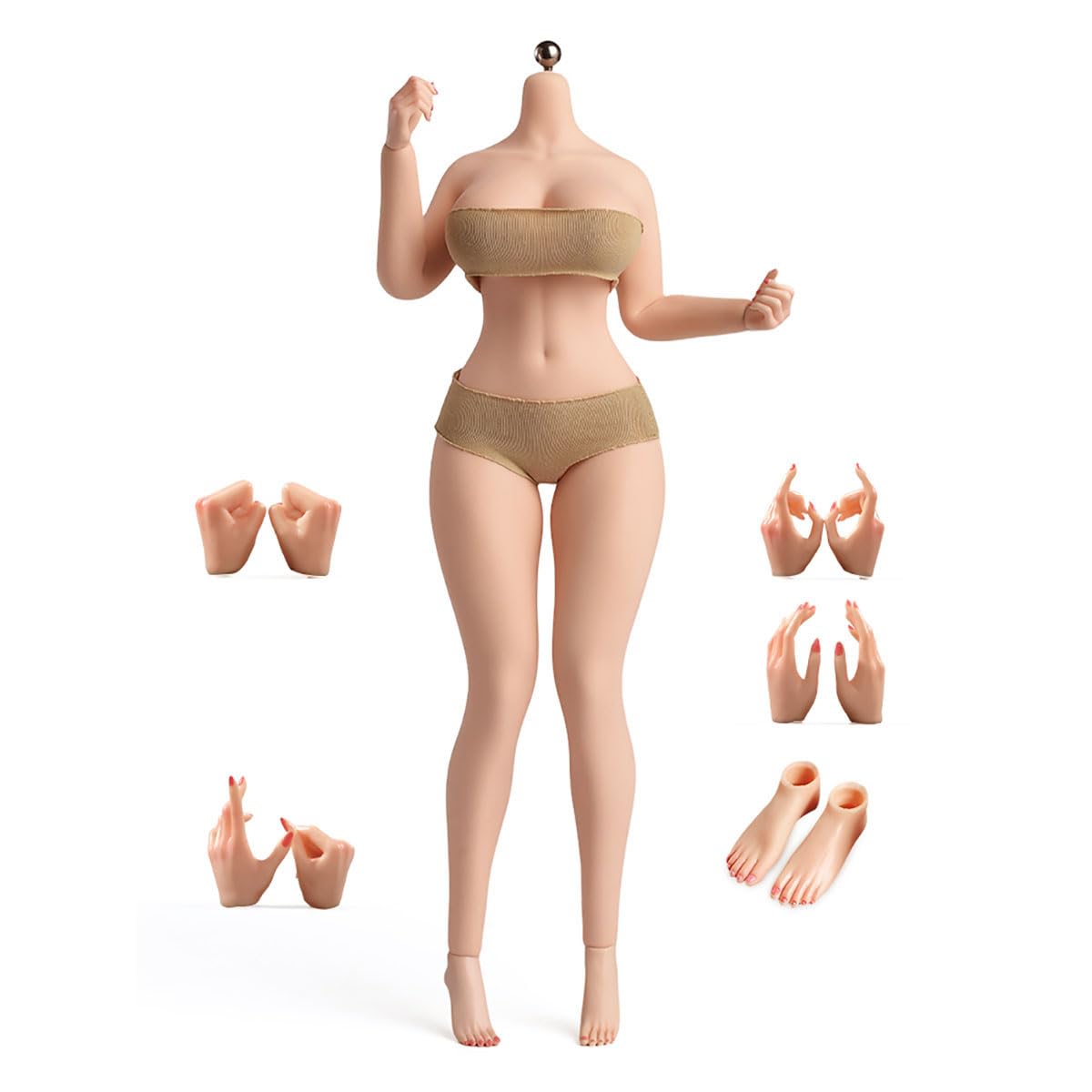 Amazon.com: ZHIKE YM611 1/6 Scale Female Plump Seamless Body 12