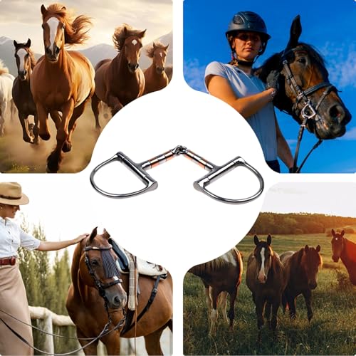 Bouche de cheval contractée ? Solution mors en D en cuivre simple - 6