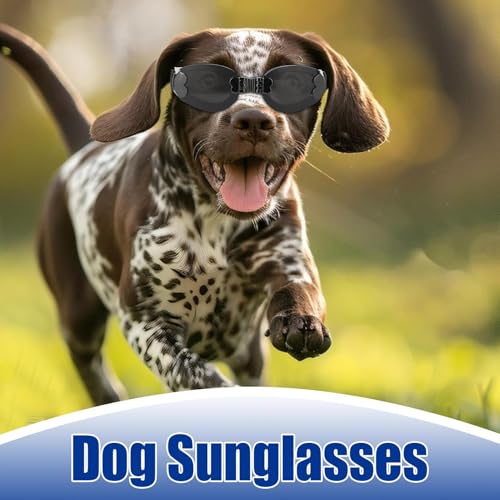 Schwimmbrille für Hunde, Größe M, UV-Schutz, verstellbarer Riemen, faltbar, Haustier-Sonnenbrille für Plateau, Langlauf, Laufen, Skifahren