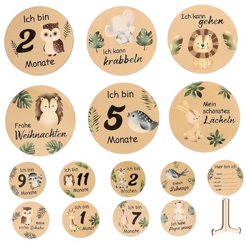 VILLCASE ̌Ƃ̐ߖڂL^ؐT[N TCtʐ^pvbv l[L\ L^J[h