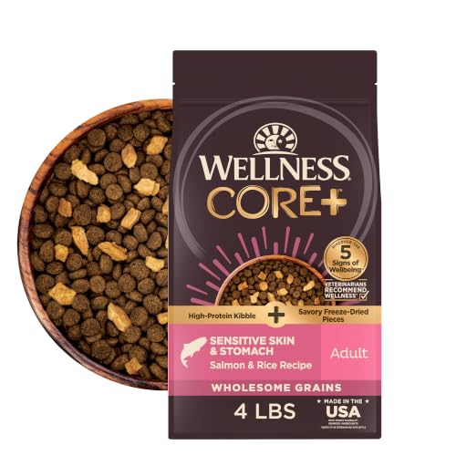 Image of Wellness CORE+ Sensitive Skin and Stomach Adult Dry Dog Food with Freeze Dried Pieces, Wholesome Grain Kibble+, Natural, High Protein, Chicken Free, Salmon and Rice Recipe, 4 lb Bag