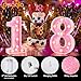 Pooqla Marquee Numbers Lights, light up Numbers Battery Powered, Glitter Lighted Numbers for Girls 1st Birthday Party, Shiny LED Numbers for Christmas Wedding Home Bar Decoration, Pink Number 1