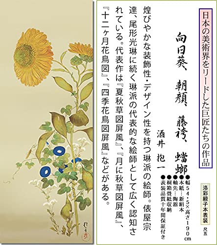 【模写】掛軸　酒井抱一　団扇に朝顔図　夏の風情　季節の掛け物　合箱入　S182 模写】掛軸 酒井抱一 団扇に朝顔図 夏の風情 季節の掛け物 合