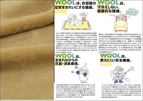 Amazon｜掛け セミダブル 洗える メリノ ウール マイヤー毛布