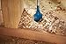 Bosch DSB1021 1-1/2 in. x 6 in. Daredevil Standard Spade Bit