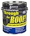 Sashco Through The Roof Sealant, Brush Grade, 1 Gallon Container, Clear (Pack of 1)