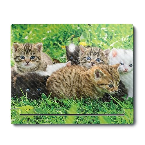 Image of MightySkins Carbon Fiber Skin Compatible with Alienware X16 R1 (2023) Full Wrap Kit - Field of Kittens | Protective, Durable Textured Carbon Fiber Finish | Easy to Apply | Made in the USA